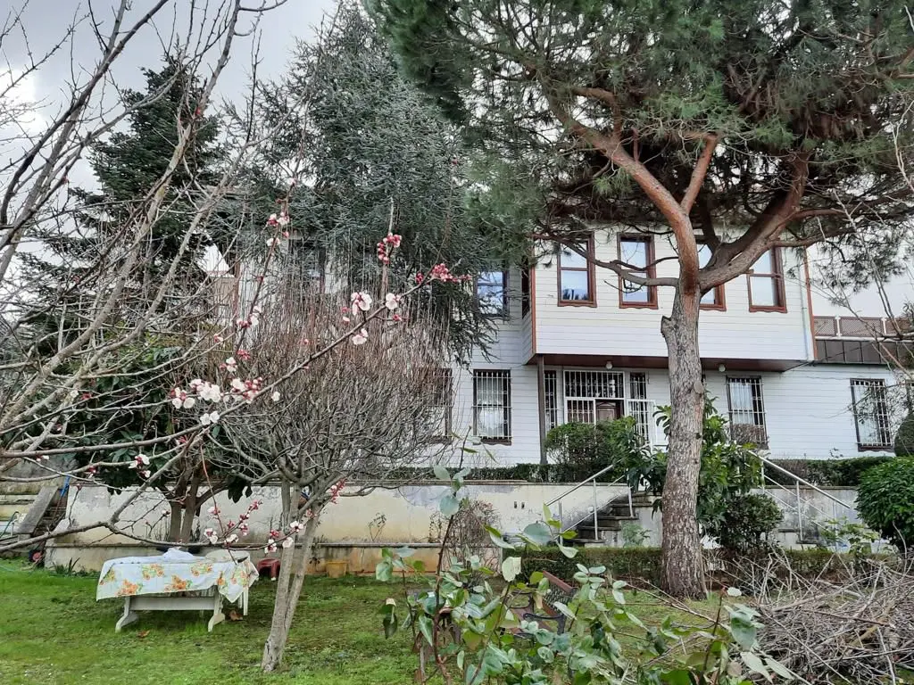Property in Beykoz
